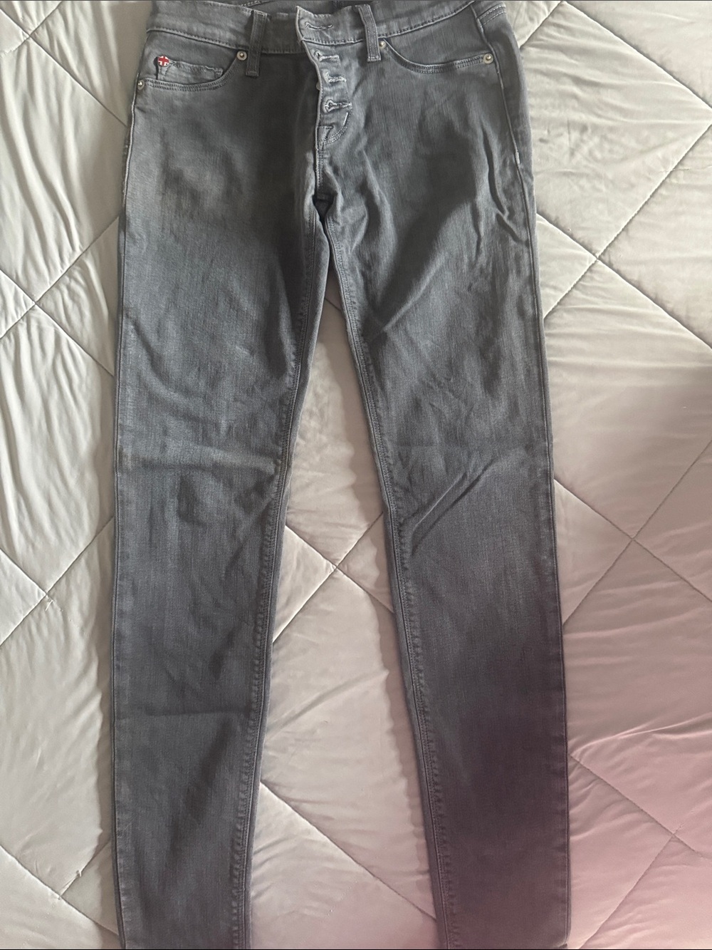 Hudson Jeans women’s Skinny Jeans in Grey